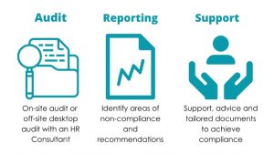 Audit Reporting Support Infographics
