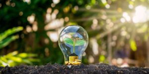 light bulb saving